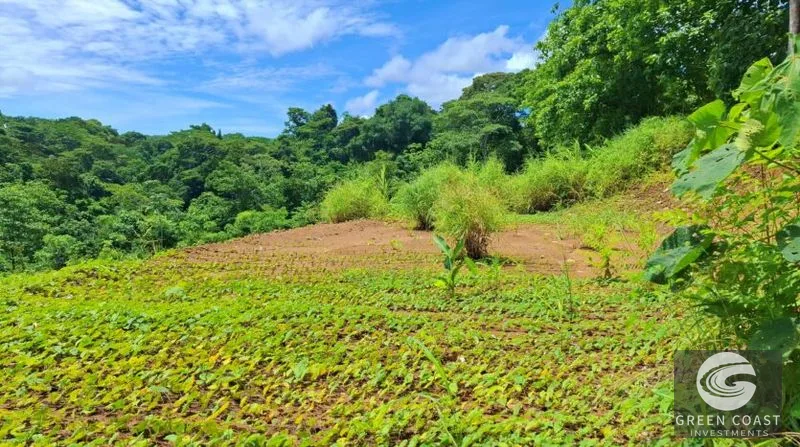 Pavones Ocean-View Development Land: 5 Acres of Prime Highlands Near World-Class Surf — view 6, Pavones, Golfito, Costa Rica