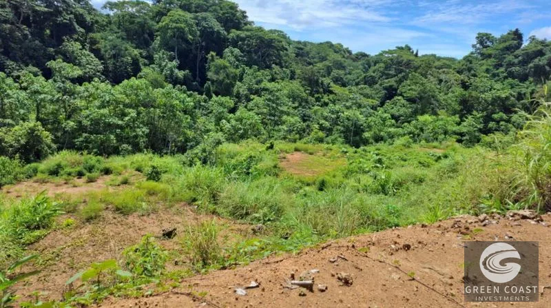 Pavones Ocean-View Development Land: 5 Acres of Prime Highlands Near World-Class Surf — view 7, Pavones, Golfito, Costa Rica