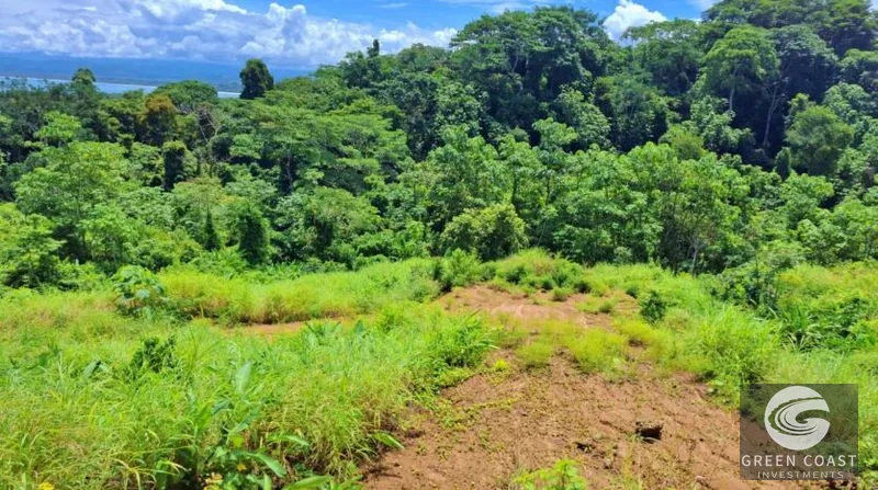 Pavones Ocean-View Development Land: 5 Acres of Prime Highlands Near World-Class Surf — view 8, Pavones, Golfito, Costa Rica