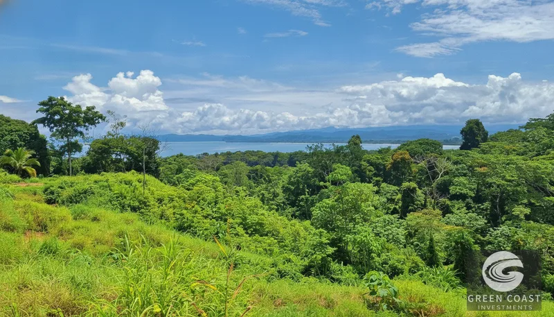 Pavones Ocean-View Development Land: 5 Acres of Prime Highlands Near World-Class Surf — view 9, Pavones, Golfito, Costa Rica