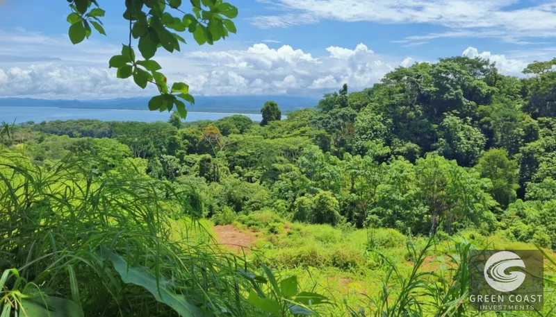 Pavones Ocean-View Development Land: 5 Acres of Prime Highlands Near World-Class Surf — view 10, Pavones, Golfito, Costa Rica