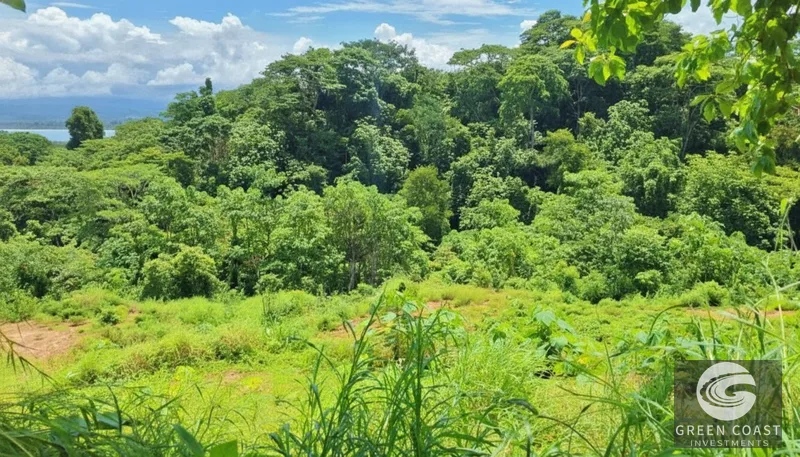 Pavones Ocean-View Development Land: 5 Acres of Prime Highlands Near World-Class Surf — view 11, Pavones, Golfito, Costa Rica