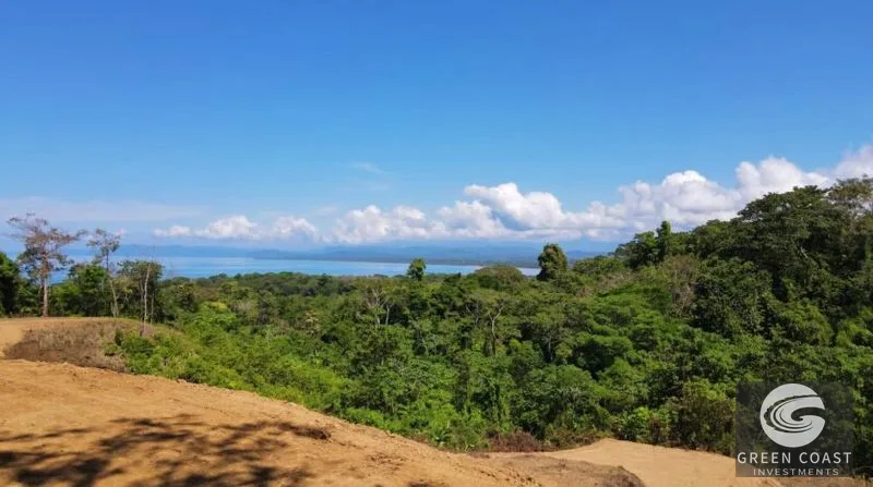 Pavones Ocean-View Development Land: 5 Acres of Prime Highlands Near World-Class Surf — view 12, Pavones, Golfito, Costa Rica