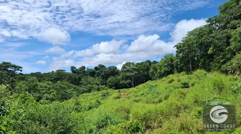 Pavones Ocean-View Development Land: 5 Acres of Prime Highlands Near World-Class Surf — view 15, Pavones, Golfito, Costa Rica