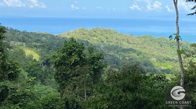 189-Acre Pavones Ocean-View Ranch: A Private Jungle Paradise Near World-Class Surf — view 7, Pavones, Golfito, Costa Rica