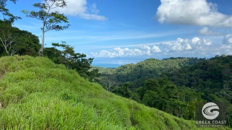 189-Acre Pavones Ocean-View Ranch: A Private Jungle Paradise Near World-Class Surf — view 8, Pavones, Golfito, Costa Rica