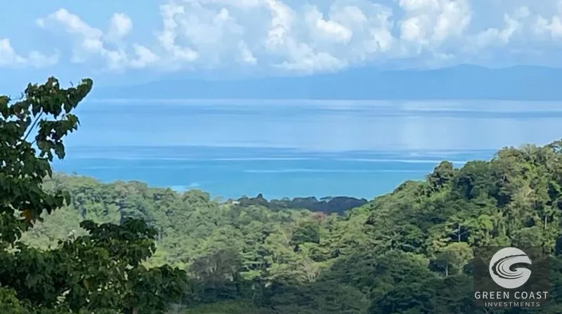189-Acre Pavones Ocean-View Ranch: A Private Jungle Paradise Near World-Class Surf — view 9, Pavones, Golfito, Costa Rica