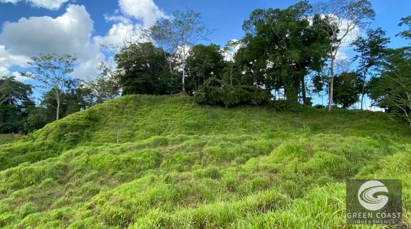 189-Acre Pavones Ocean-View Ranch: A Private Jungle Paradise Near World-Class Surf — view 10, Pavones, Golfito, Costa Rica