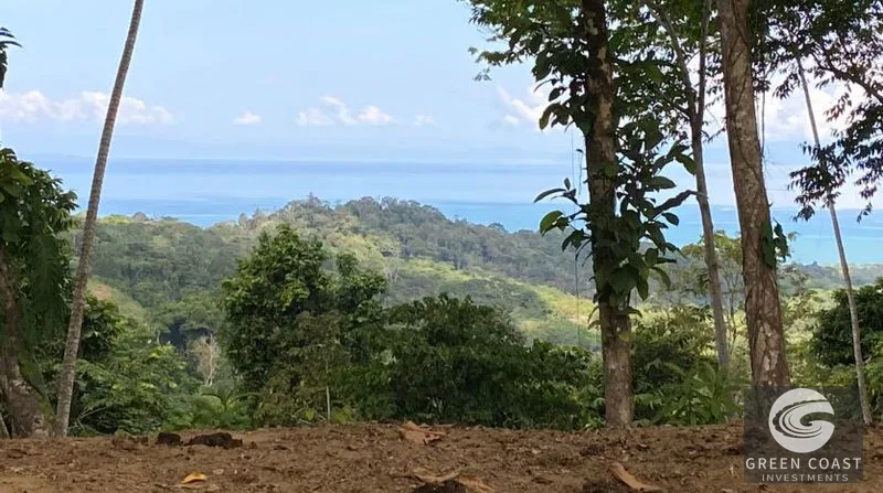 189-Acre Pavones Ocean-View Ranch: A Private Jungle Paradise Near World-Class Surf — view 11, Pavones, Golfito, Costa Rica