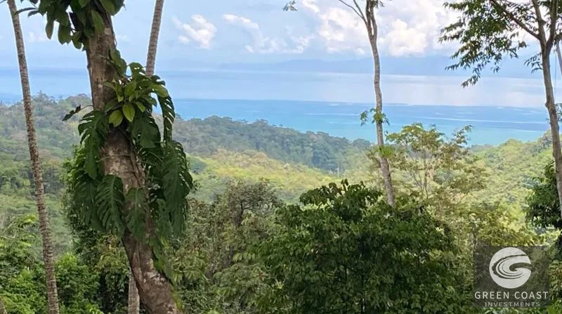 189-Acre Pavones Ocean-View Ranch: A Private Jungle Paradise Near World-Class Surf — view 12, Pavones, Golfito, Costa Rica