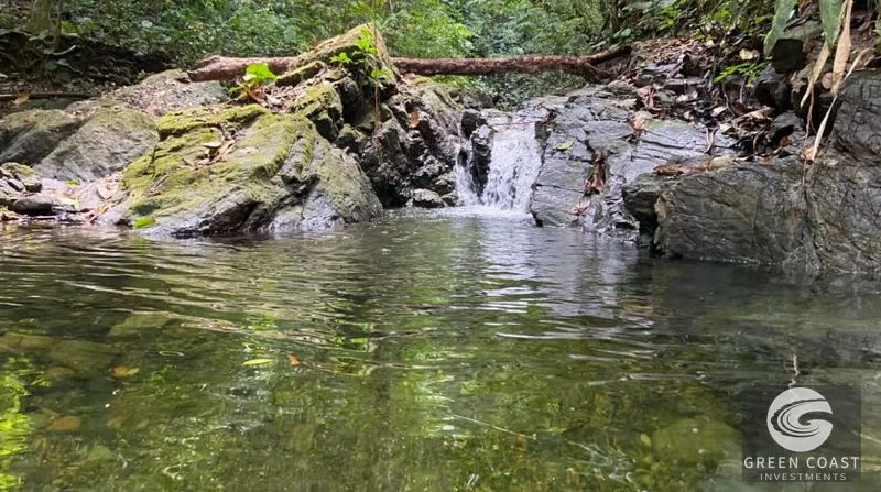 189-Acre Pavones Ocean-View Ranch: A Private Jungle Paradise Near World-Class Surf — view 14, Pavones, Golfito, Costa Rica