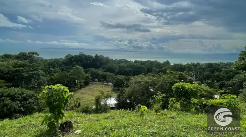 Pavones Ocean-View Development Land with Waterfall: Walk to Surf & Town — view 4, Pavones, Golfito, Costa Rica