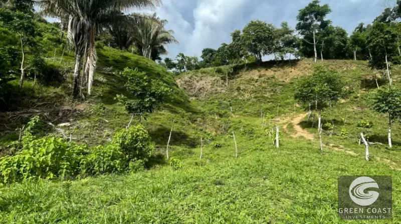 Pavones Ocean-View Development Land with Waterfall: Walk to Surf & Town — view 5, Pavones, Golfito, Costa Rica
