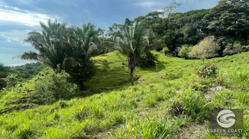 Pavones Ocean-View Development Land with Waterfall: Walk to Surf & Town — view 7, Pavones, Golfito, Costa Rica