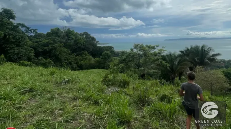 Pavones Ocean-View Development Land with Waterfall: Walk to Surf & Town — view 10, Pavones, Golfito, Costa Rica