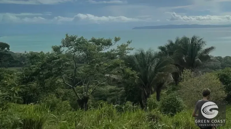 Pavones Ocean-View Development Land with Waterfall: Walk to Surf & Town — view 11, Pavones, Golfito, Costa Rica