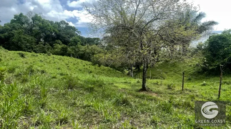 Pavones Ocean-View Development Land with Waterfall: Walk to Surf & Town — view 12, Pavones, Golfito, Costa Rica