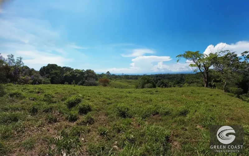 Pavones Ocean-View Development Land with Waterfall: Walk to Surf & Town — view 14, Pavones, Golfito, Costa Rica