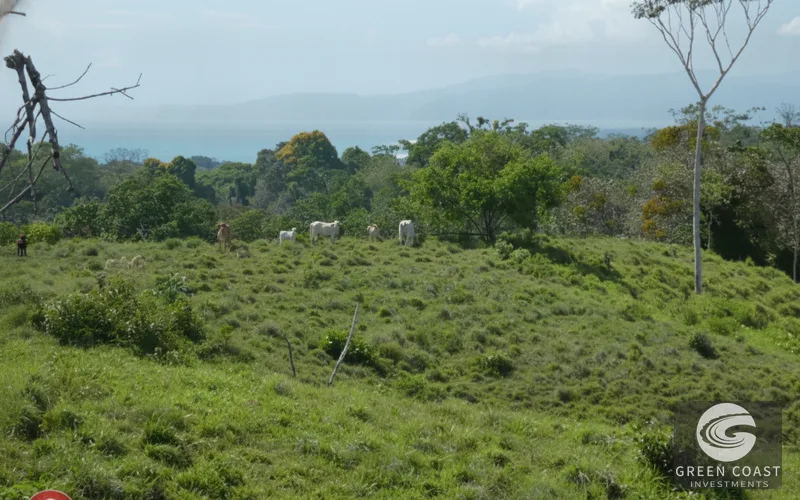 Pavones Ocean-View Development Land with Waterfall: Walk to Surf & Town — view 15, Pavones, Golfito, Costa Rica