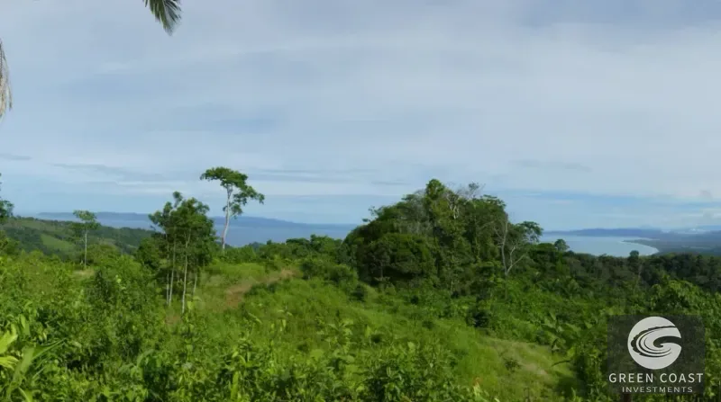 15-Hectare Ocean & Mountain View Estate in Pavones | Prime Development Land — view 1, Pavones, Golfito, Costa Rica