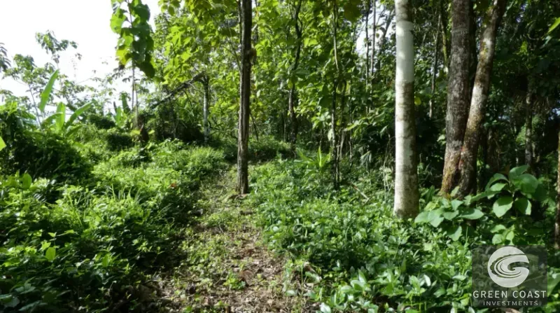 15-Hectare Ocean & Mountain View Estate in Pavones | Prime Development Land — view 2, Pavones, Golfito, Costa Rica