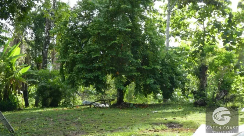 15-Hectare Ocean & Mountain View Estate in Pavones | Prime Development Land — view 5, Pavones, Golfito, Costa Rica
