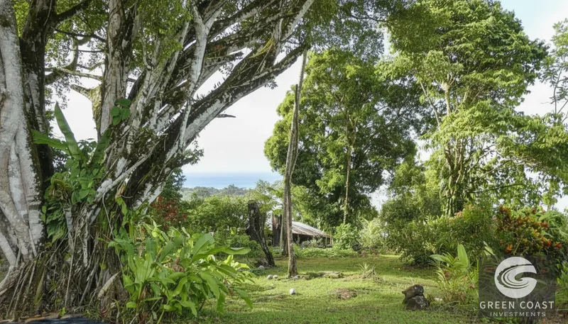 15-Hectare Ocean & Mountain View Estate in Pavones | Prime Development Land — view 7, Pavones, Golfito, Costa Rica