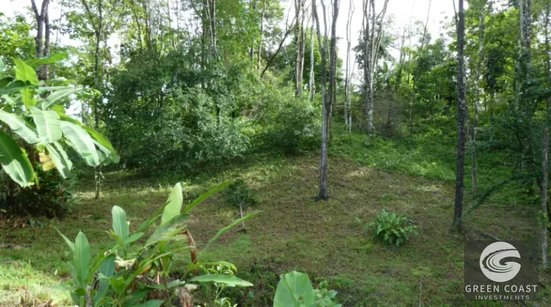 15-Hectare Ocean & Mountain View Estate in Pavones | Prime Development Land — view 9, Pavones, Golfito, Costa Rica