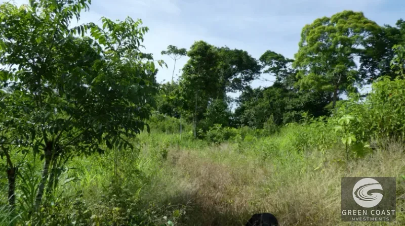 15-Hectare Ocean & Mountain View Estate in Pavones | Prime Development Land — view 11, Pavones, Golfito, Costa Rica