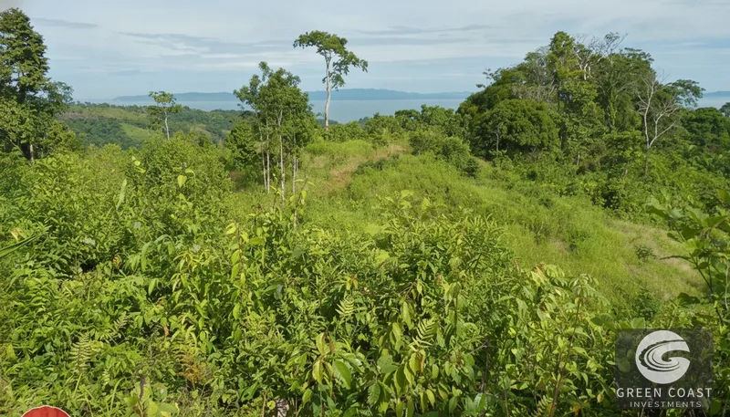 15-Hectare Ocean & Mountain View Estate in Pavones | Prime Development Land — view 12, Pavones, Golfito, Costa Rica