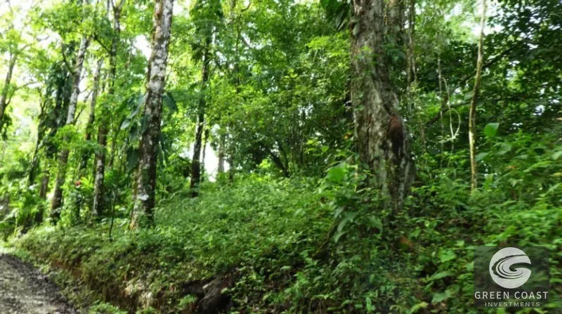 15-Hectare Ocean & Mountain View Estate in Pavones | Prime Development Land — view 13, Pavones, Golfito, Costa Rica
