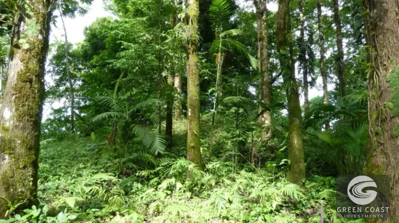 15-Hectare Ocean & Mountain View Estate in Pavones | Prime Development Land — view 14, Pavones, Golfito, Costa Rica