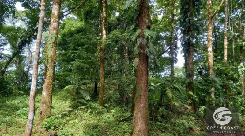15-Hectare Ocean & Mountain View Estate in Pavones | Prime Development Land — view 15, Pavones, Golfito, Costa Rica
