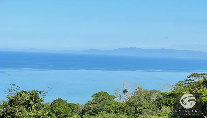 Pavones 2.5-Acre Ocean-View Estate Lot with Old-Growth Forest & Walk-to-Beach Access — view 1, Pavones, Golfito, Costa Rica