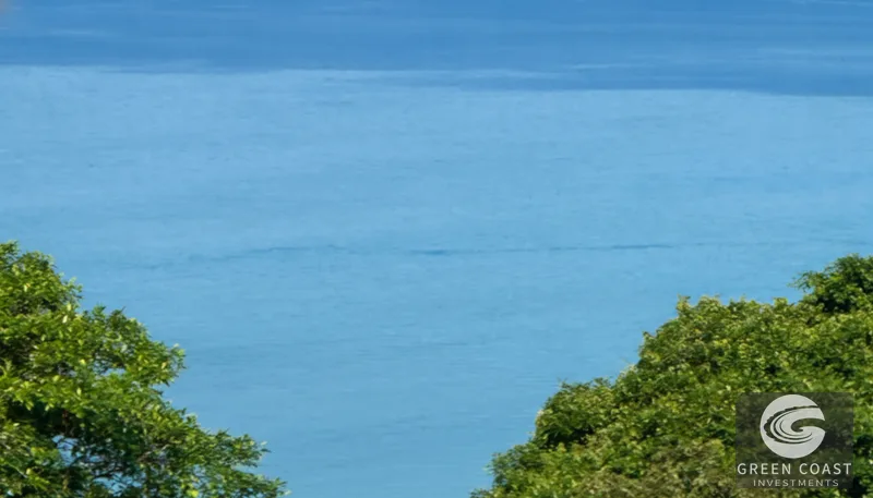 Pavones 2.5-Acre Ocean-View Estate Lot with Old-Growth Forest & Walk-to-Beach Access — view 2, Pavones, Golfito, Costa Rica