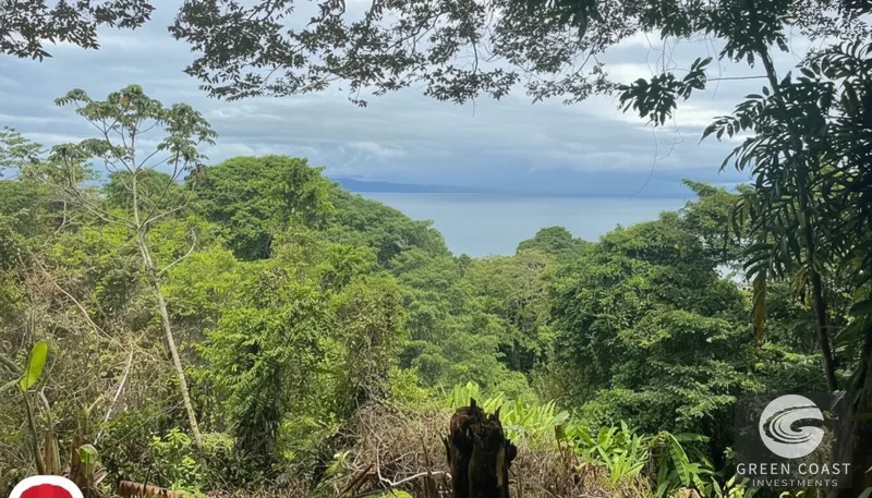 Pavones 2.5-Acre Ocean-View Estate Lot with Old-Growth Forest & Walk-to-Beach Access — view 3, Pavones, Golfito, Costa Rica