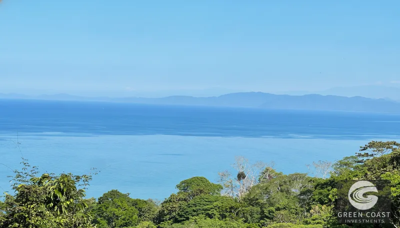 Pavones 2.5-Acre Ocean-View Estate Lot with Old-Growth Forest & Walk-to-Beach Access — view 5, Pavones, Golfito, Costa Rica