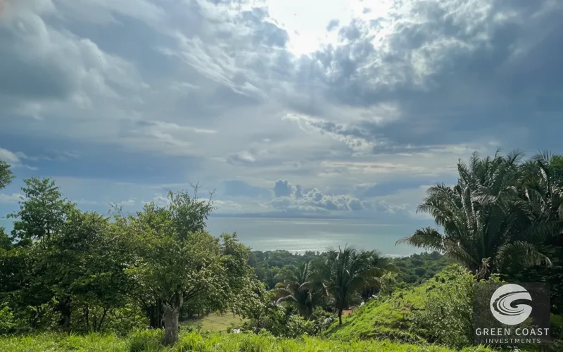 Pavones 2.5-Acre Ocean-View Estate Lot with Old-Growth Forest & Walk-to-Beach Access — view 7, Pavones, Golfito, Costa Rica