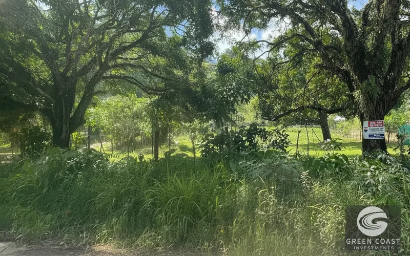 Pavones 2.5-Acre Ocean-View Estate Lot with Old-Growth Forest & Walk-to-Beach Access — view 8, Pavones, Golfito, Costa Rica