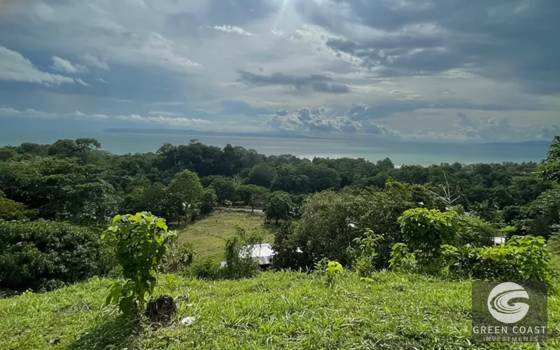 Pavones 2.5-Acre Ocean-View Estate Lot with Old-Growth Forest & Walk-to-Beach Access — view 9, Pavones, Golfito, Costa Rica