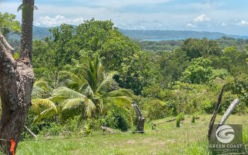 Pavones 2.5-Acre Ocean-View Estate Lot with Old-Growth Forest & Walk-to-Beach Access — view 11, Pavones, Golfito, Costa Rica