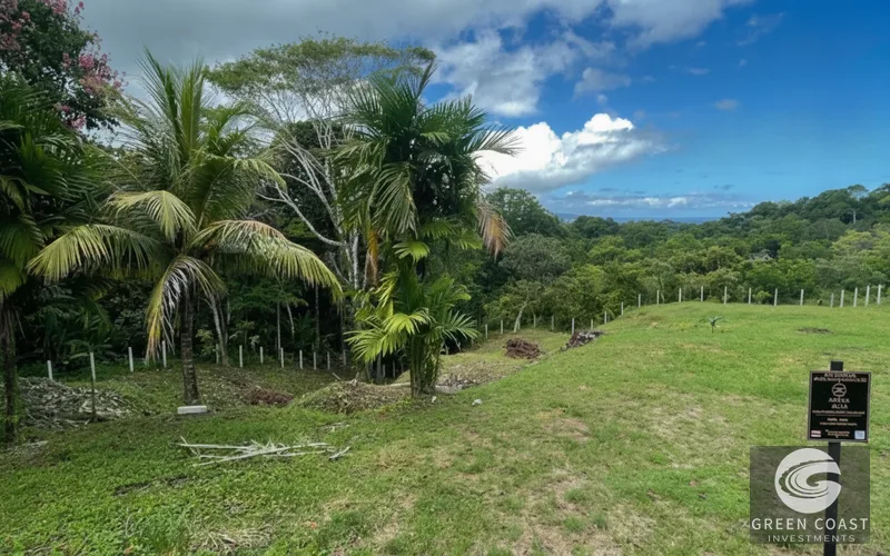 Pavones 2.5-Acre Ocean-View Estate Lot with Old-Growth Forest & Walk-to-Beach Access — view 12, Pavones, Golfito, Costa Rica