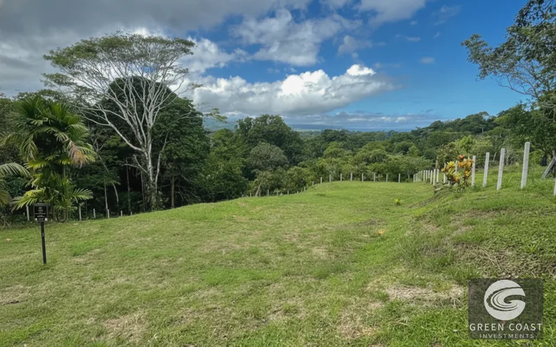 Pavones 2.5-Acre Ocean-View Estate Lot with Old-Growth Forest & Walk-to-Beach Access — view 13, Pavones, Golfito, Costa Rica