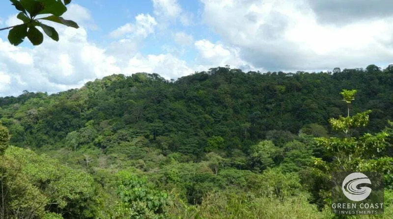 70-Acre Pavones Oceanview Eco-Estate with Waterfalls & River — view 8, Pavones, Golfito, Costa Rica