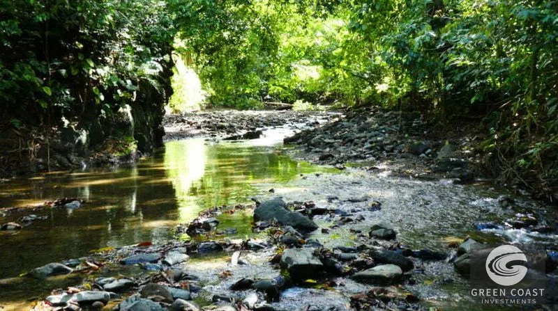 70-Acre Pavones Oceanview Eco-Estate with Waterfalls & River — view 10, Pavones, Golfito, Costa Rica