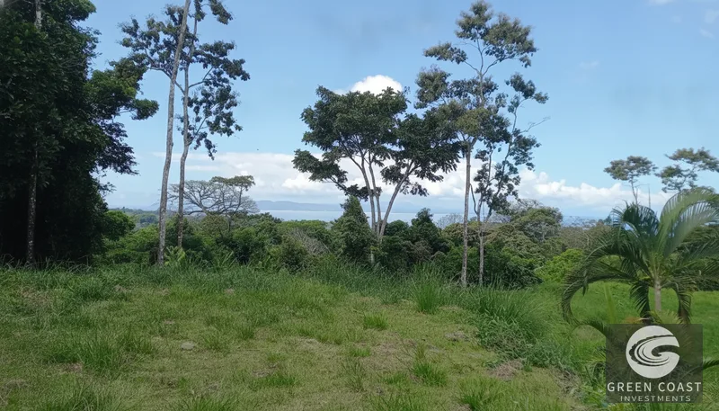 16-Acre Pavones Ocean-View Estate Lot with Cleared Building Pads — view 3, Pavones, Golfito, Costa Rica