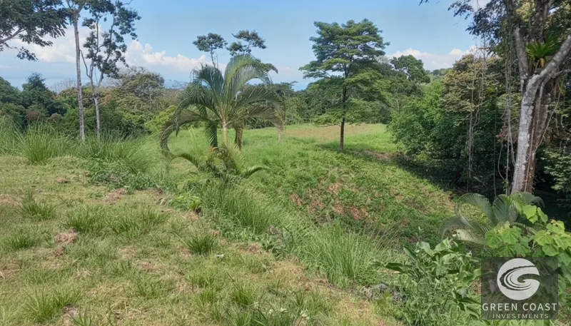 16-Acre Pavones Ocean-View Estate Lot with Cleared Building Pads — view 4, Pavones, Golfito, Costa Rica