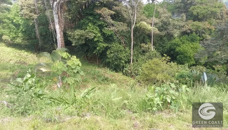 16-Acre Pavones Ocean-View Estate Lot with Cleared Building Pads — view 5, Pavones, Golfito, Costa Rica