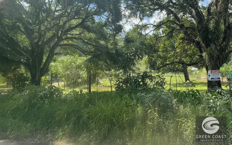 16-Acre Pavones Ocean-View Estate Lot with Cleared Building Pads — view 8, Pavones, Golfito, Costa Rica