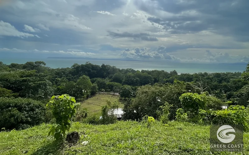 16-Acre Pavones Ocean-View Estate Lot with Cleared Building Pads — view 9, Pavones, Golfito, Costa Rica